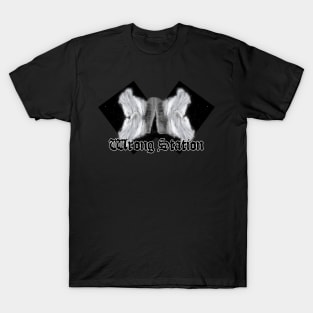 Falling White, Like Death T-Shirt